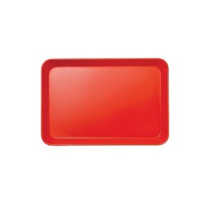ONE2 Tray 9.25inch Red